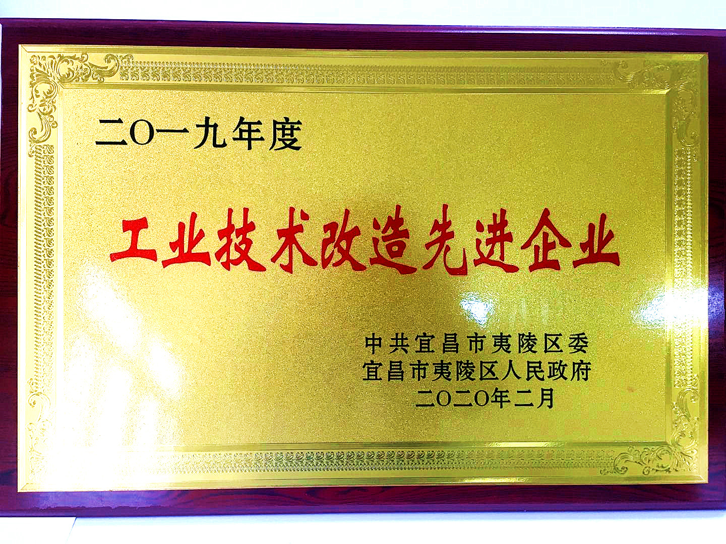 2019年度米乐工业技术改造先进企业